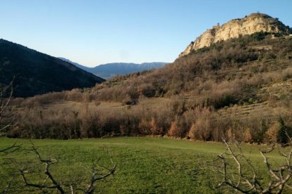 Arbres florits, camps verds i bon temps...ja és aquí la primavera!