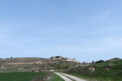 Arbres florits, camps verds i bon temps...ja és aquí la primavera!
