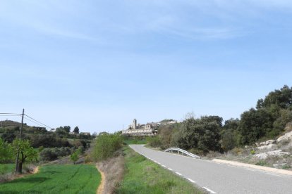 Arbres florits, camps verds i bon temps...ja és aquí la primavera!