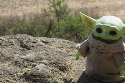 Arbres florits, camps verds i bon temps...ja és aquí la primavera!