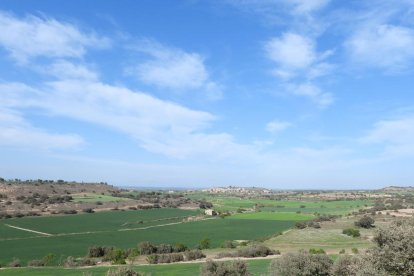 Arbres florits, camps verds i bon temps...ja és aquí la primavera!