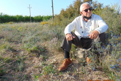 Arbres florits, camps verds i bon temps...ja és aquí la primavera!