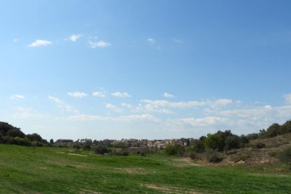 Arbres florits, camps verds i bon temps...ja és aquí la primavera!