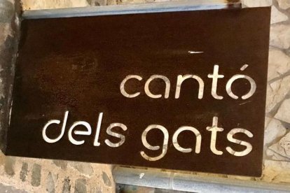Fotos de cartells, senyals de trànsit o notificacions divertides.