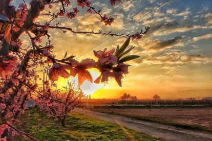 JOSEP Antoni Moreko Fernandez