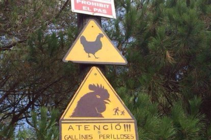 Fotos de cartells, senyals de trànsit o notificacions divertides.