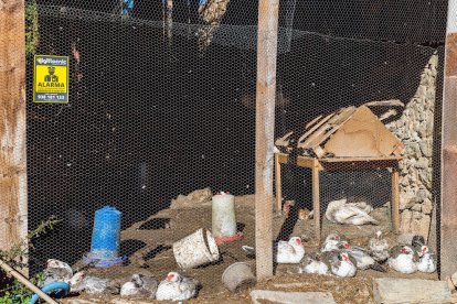 Fotos de cartells, senyals de trànsit o notificacions divertides.