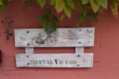 Ceps, rovellons, fredolics...envia'ns fotos de la teua excursió al bosc