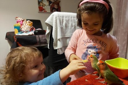 ¡Perros, gatos, canarios, conejos...presentanos a tu mascota!