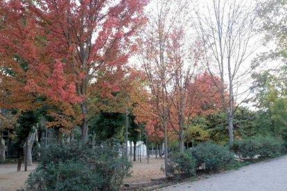 La niebla, las hojas que caen, sus frutos... el otoño es una estación muy fotogénico.