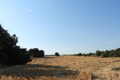 Envia'ns fotos relacionades amb l'estiu i guanya una estada a l'Hotel Castellarnau d'Escaló (Pallars Sobirà).