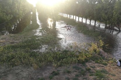 Ines Galitó Ribalta