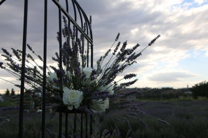 Envia'ns fotos relacionades amb l'estiu i guanya una estada a l'Hotel Castellarnau d'Escaló (Pallars Sobirà).