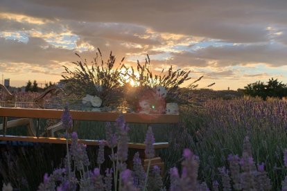 Envia'ns fotos relacionades amb l'estiu i guanya una estada a l'Hotel Castellarnau d'Escaló (Pallars Sobirà).