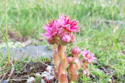 Envia'ns fotos relacionades amb l'estiu i guanya una estada a l'Hotel Castellarnau d'Escaló (Pallars Sobirà).