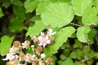 Envia'ns fotos relacionades amb l'estiu i guanya una estada a l'Hotel Castellarnau d'Escaló (Pallars Sobirà).