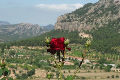 Envia'ns fotos relacionades amb l'estiu i guanya una estada a l'Hotel Castellarnau d'Escaló (Pallars Sobirà).