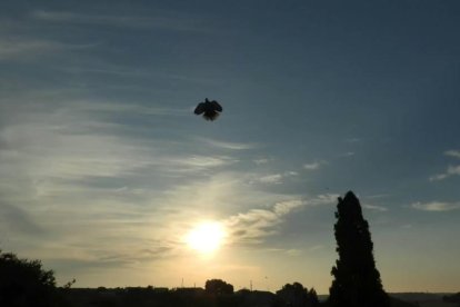 Envia'ns fotos relacionades amb l'estiu i guanya una estada a l'Hotel Castellarnau d'Escaló (Pallars Sobirà).