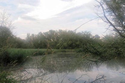 Envia'ns fotos relacionades amb l'estiu i guanya una estada a l'Hotel Castellarnau d'Escaló (Pallars Sobirà).