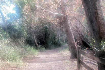 Envia'ns fotos relacionades amb l'estiu i guanya una estada a l'Hotel Castellarnau d'Escaló (Pallars Sobirà).