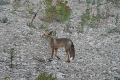 Envia'ns fotos relacionades amb l'estiu i guanya una estada a l'Hotel Castellarnau d'Escaló (Pallars Sobirà).