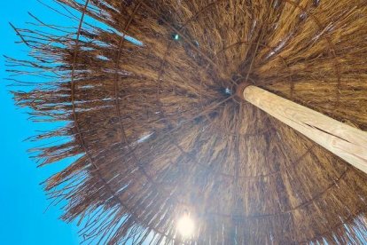 AMPARO PIERA LA ROCA