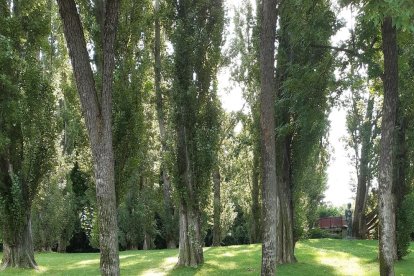 Envia'ns fotos relacionades amb l'estiu i guanya una estada a l'Hotel Castellarnau d'Escaló (Pallars Sobirà).