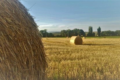 Envia'ns fotos relacionades amb l'estiu i guanya una estada a l'Hotel Castellarnau d'Escaló (Pallars Sobirà).