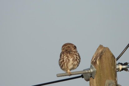 Envia'ns fotos relacionades amb l'estiu i guanya una estada a l'Hotel Castellarnau d'Escaló (Pallars Sobirà).