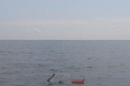 Maria Jose Sillue Oliver