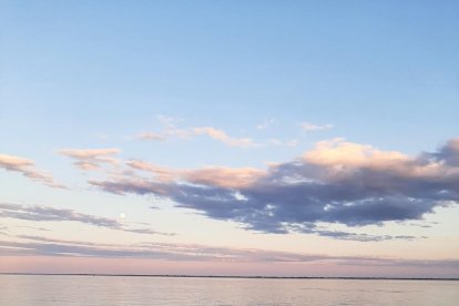 Maria Jose Sillue Oliver