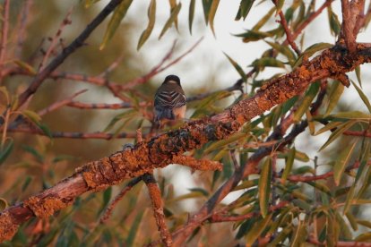 Envia'ns fotos relacionades amb l'estiu i guanya una estada a l'Hotel Castellarnau d'Escaló (Pallars Sobirà).
