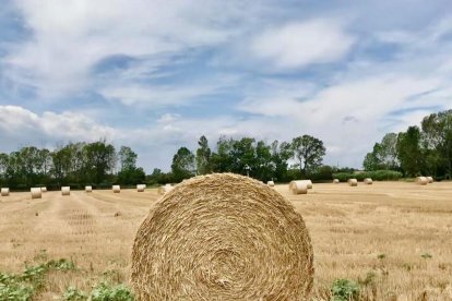 Envia'ns fotos relacionades amb l'estiu i guanya una estada a l'Hotel Castellarnau d'Escaló (Pallars Sobirà).