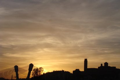 Manuel Fregola Navarro