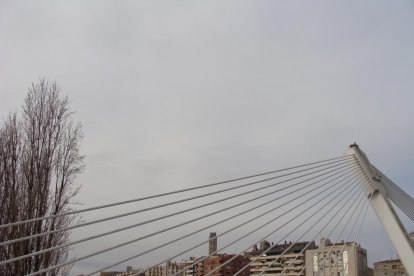 Manuel Fregola Navarro