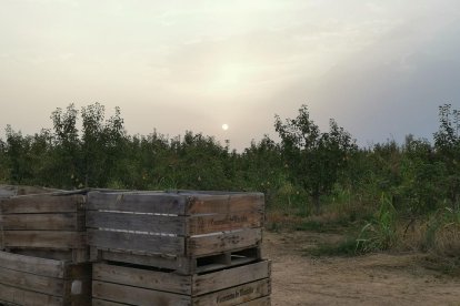 Josep Ramon Mòdol Ratés