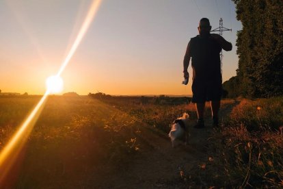 JUDIT PIQUERAS CARRASCOSA