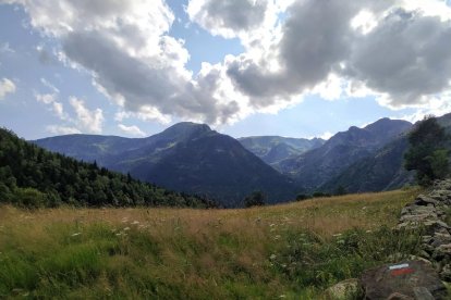 VIRTUDES MARTINEZ DOMENE