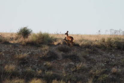 Envia'ns fotos relacionades amb l'estiu i guanya una estada a l'Hotel Castellarnau d'Escaló (Pallars Sobirà).