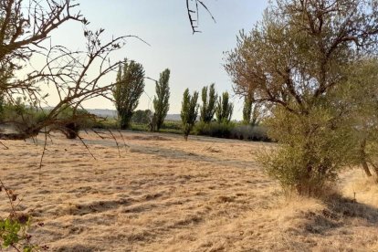 Envia'ns fotos relacionades amb l'estiu i guanya una estada a l'Hotel Castellarnau d'Escaló (Pallars Sobirà).