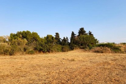 Envia'ns fotos relacionades amb l'estiu i guanya una estada a l'Hotel Castellarnau d'Escaló (Pallars Sobirà).
