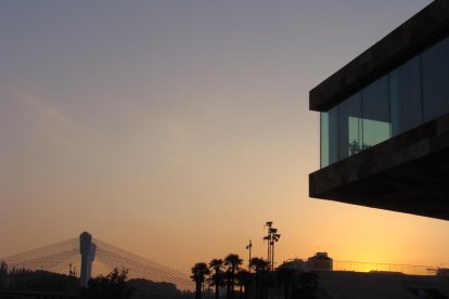 Manel Fregola Navarro