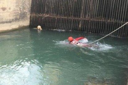 Bombers de la Generalitat