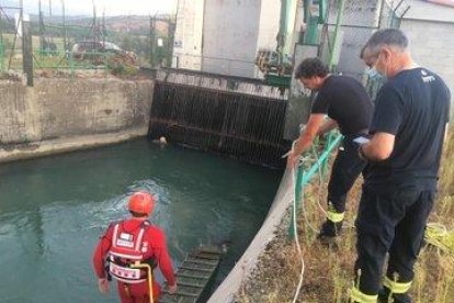 Bombers de la Generalitat