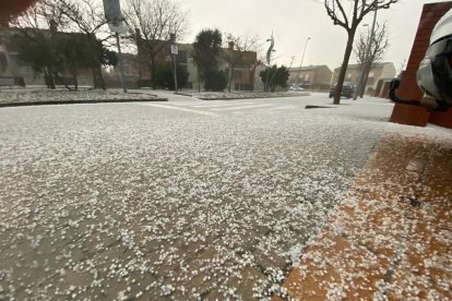 Viernes, 22 de enero de 2020