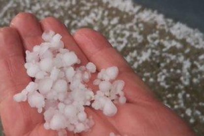 Viernes, 22 de enero de 2020