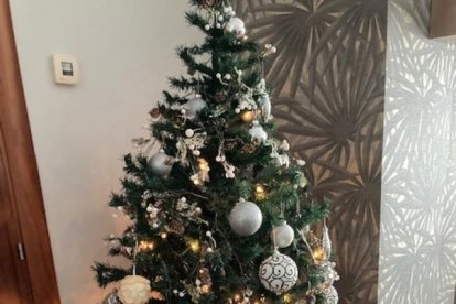 El balcó, el pessebre, l'arbre, el centre de taula...envia'ns fotos de la teva decoració nadalenca.