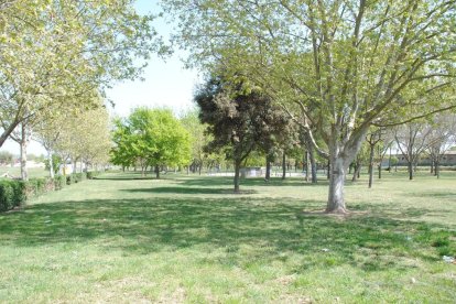 En grupos más reducidos como medida de protección ante la Covid-19