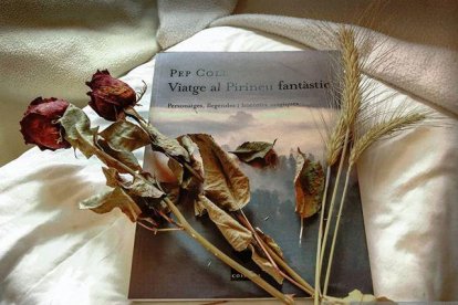 Aquestes són les imatges que ens heu enviat del vostre Sant Jordi confinat