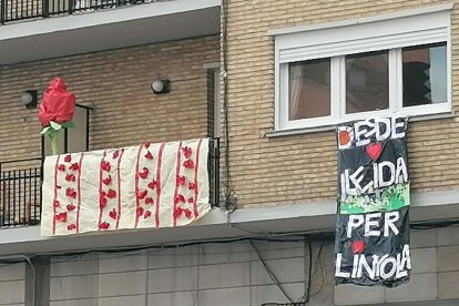 Aquestes són les imatges que ens heu enviat del vostre Sant Jordi confinat